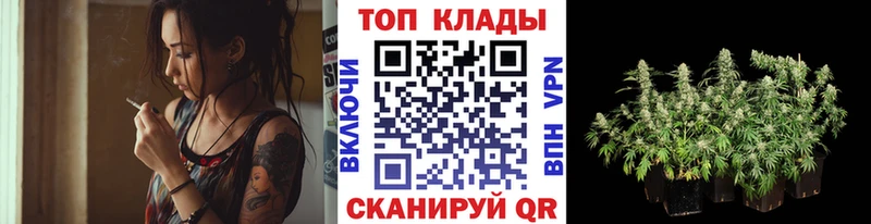 Все наркотики Ивантеевка ГАШИШ МАРИХУАНА СОЛЬ Меф мяу мяу