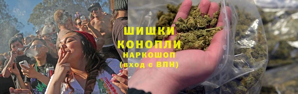 гашик Нефтекумск