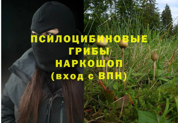 ГАЛЛЮЦИНОГЕННЫЕ ГРИБЫ Михайловск