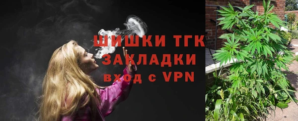гашик Нефтекумск