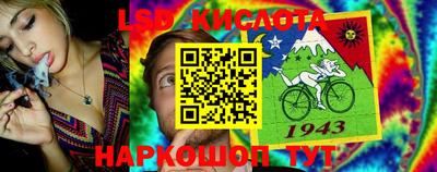 гидра Берёзовский