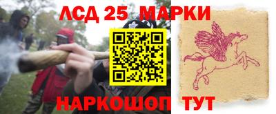 гидра Берёзовский