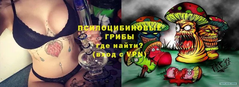 Псилоцибиновые грибы Cubensis  наркотики  Ивантеевка 