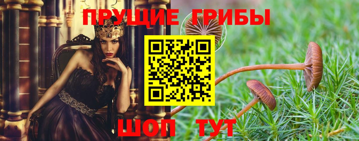 Псилоцибиновые грибы MAGIC MUSHROOMS  Псилоцибиновые грибы ЛСД  Ивантеевка 