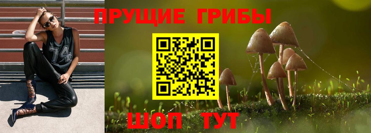 Галлюциногенные грибы мицелий  Вход с VPN  где можно купить   Псилоцибиновые грибы ЛСД  Ивантеевка 
